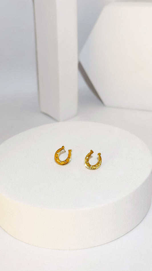 Puces d’oreilles Fer a cheval